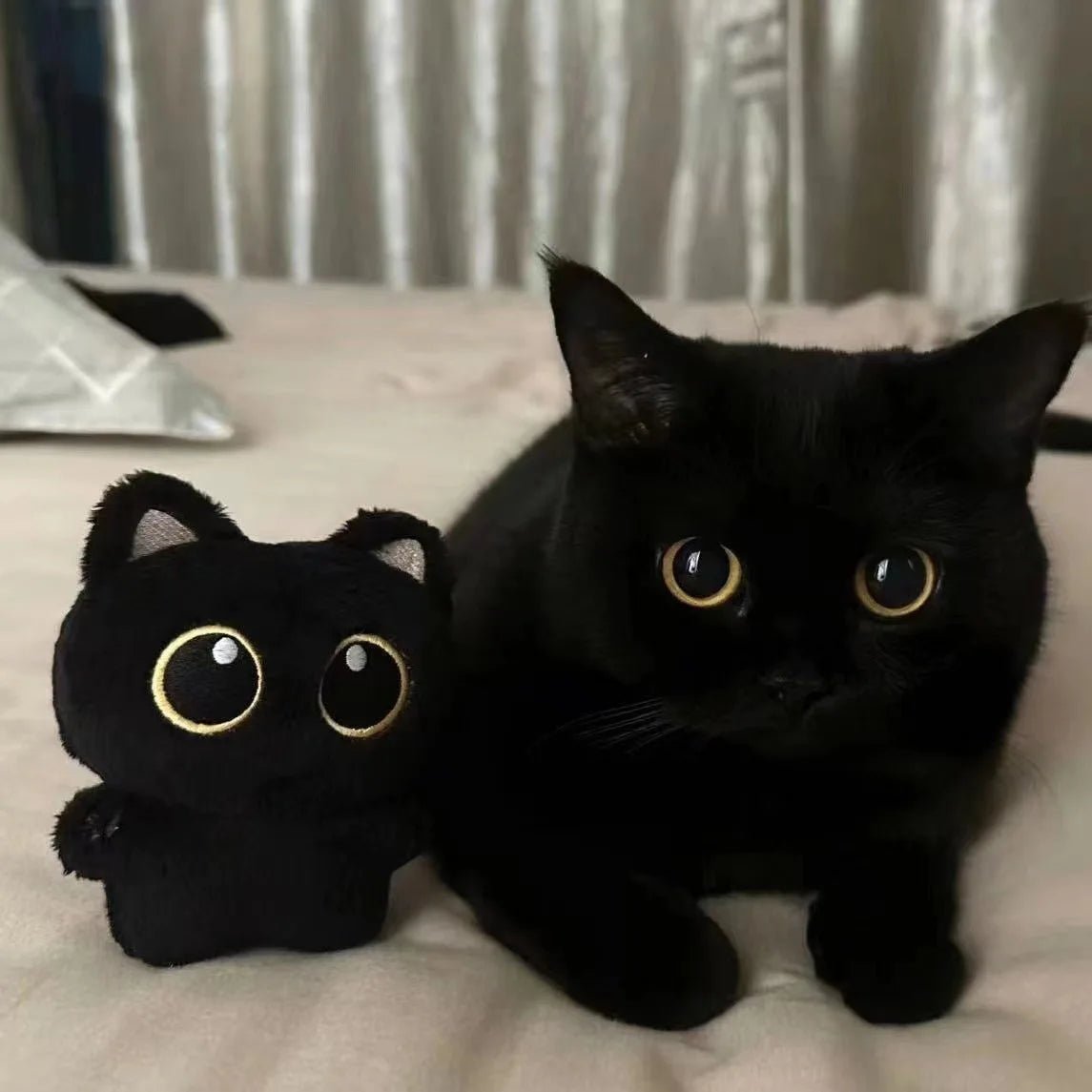 Cute Black Cat plush toy Doll - TarotCats Co.