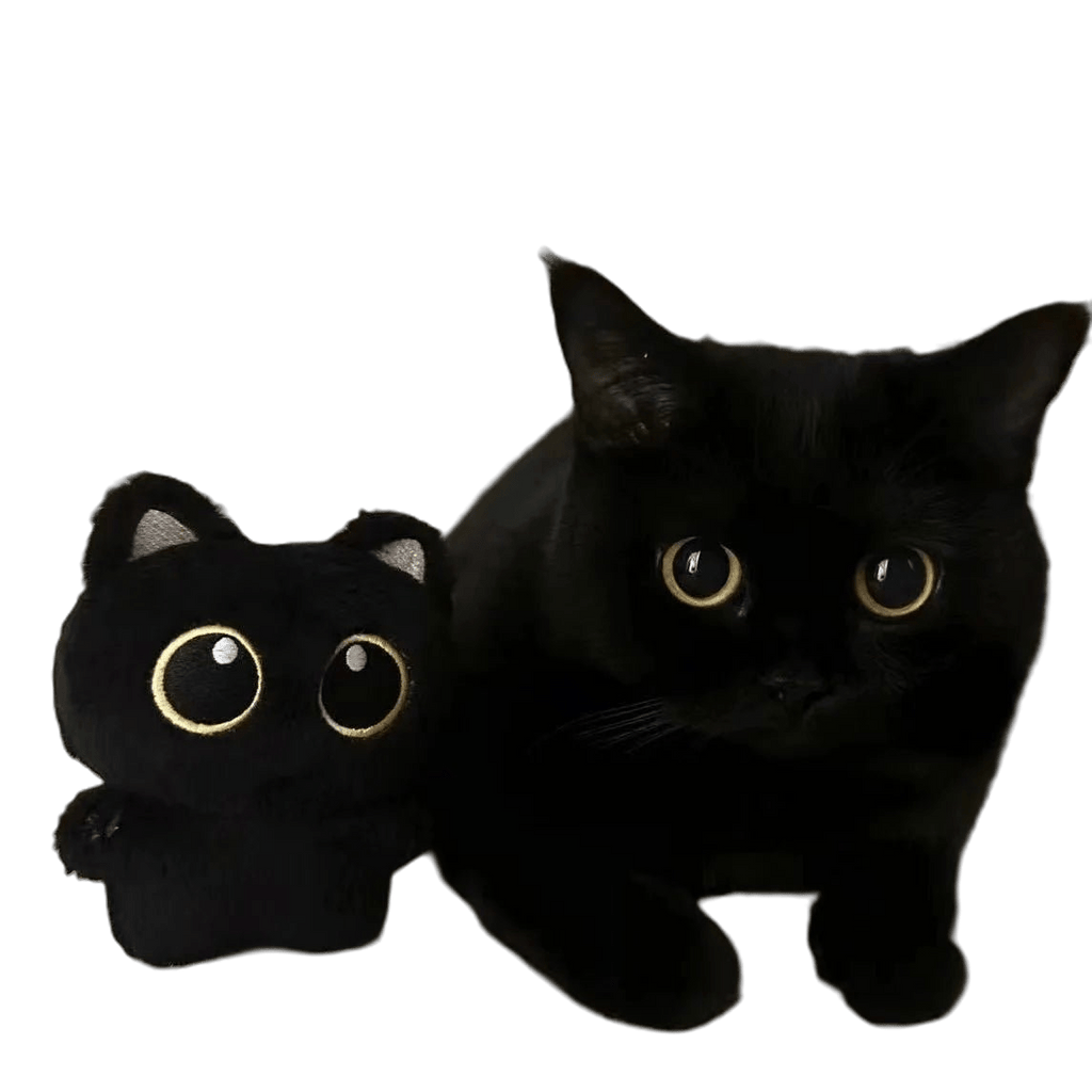 Cute Black Cat plush toy Doll - TarotCats Co.