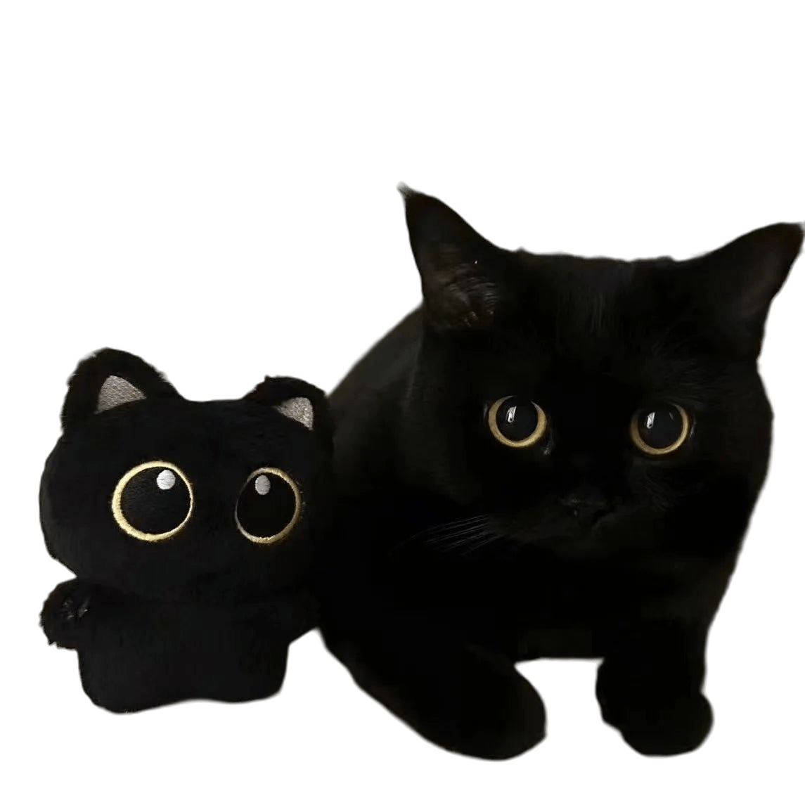 Cute Black Cat plush toy Doll - TarotCats Co.