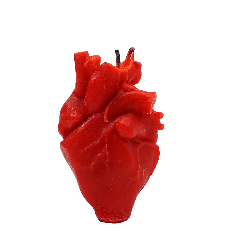 Heart Organ Scented Candle - TarotCats Co.