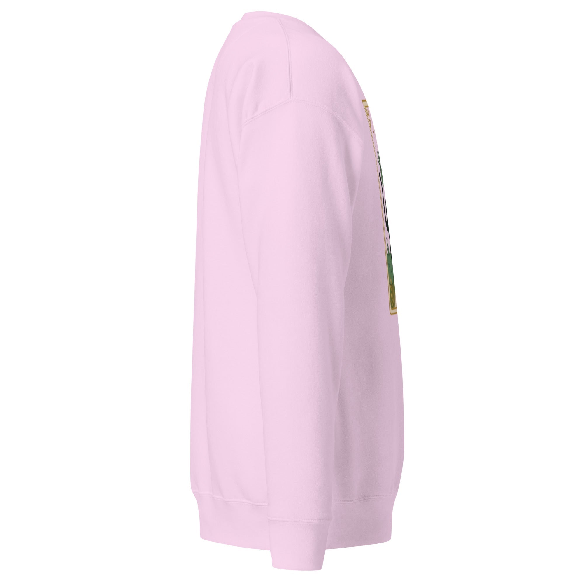 Unisex Premium Sweatshirt - TarotCats Co.